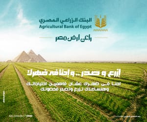 البنك الزراعي