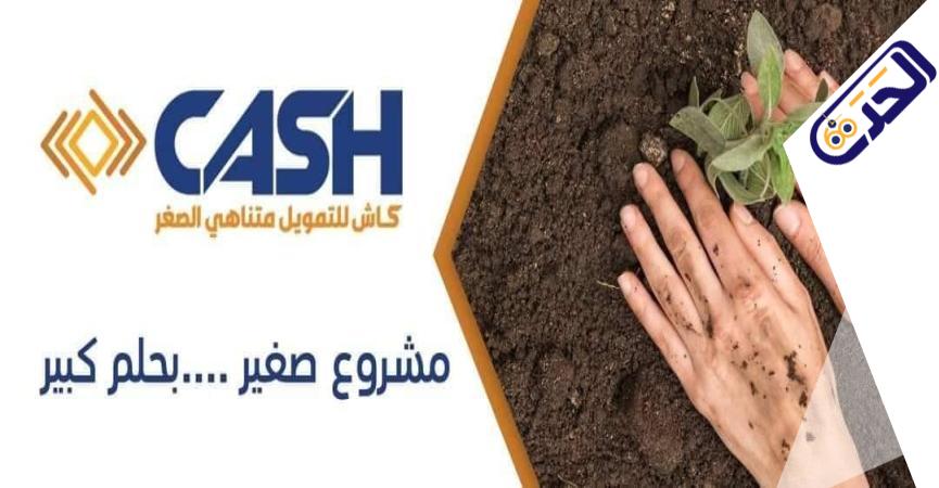 شركة كاش للتمويل متناهي الصغر 