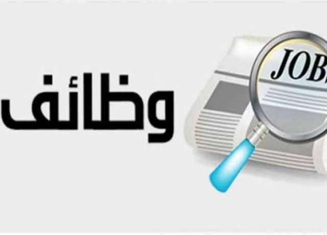 4410 فرص عمل بأجور تصل إلى 15 ألف جنيه في 13 محافظة