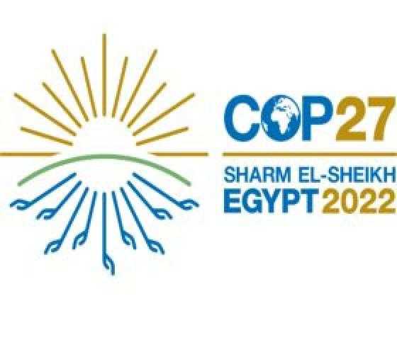 إنفوجراف.. مصر تعزز من جهود التصدي للتغير المناخي وتحقيق استدامة الطاقة