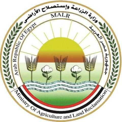 الزراعة: الإفراج عن 84 ألف طن أعلاف الذرة والصويا بحوالي 51 مليون دولار
