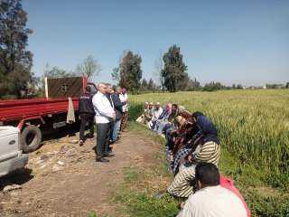 زراعة كفرالشيخ تنظم ندوات إرشادية للمزارعين
