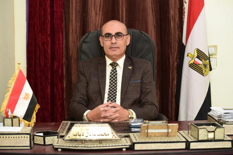 المهندس محمد عادل دياب