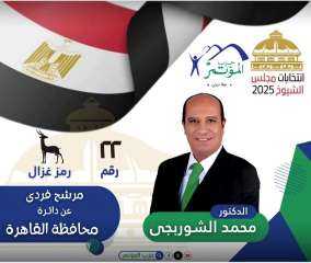 الشوربجي يشعل المنافسة في انتخابات الشيوخ بالقاهرة.. رجل الاقتصاد والمواقف يحظى بدعم واسع