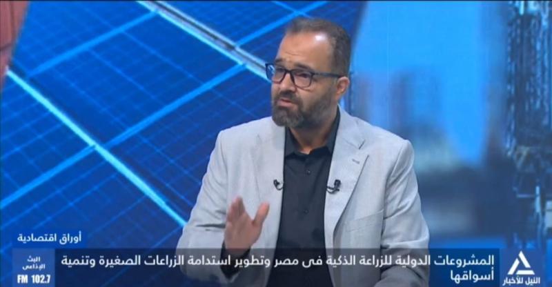المهندس عمرو البحيري