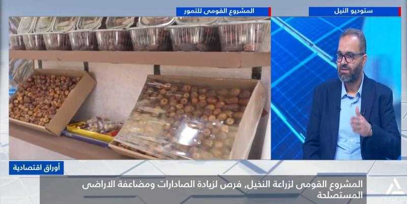 رئيس شركة ويسترن فالى للزراعات الحديثة: هيكلة اقتصاديات النخيل ضرورة في مصر