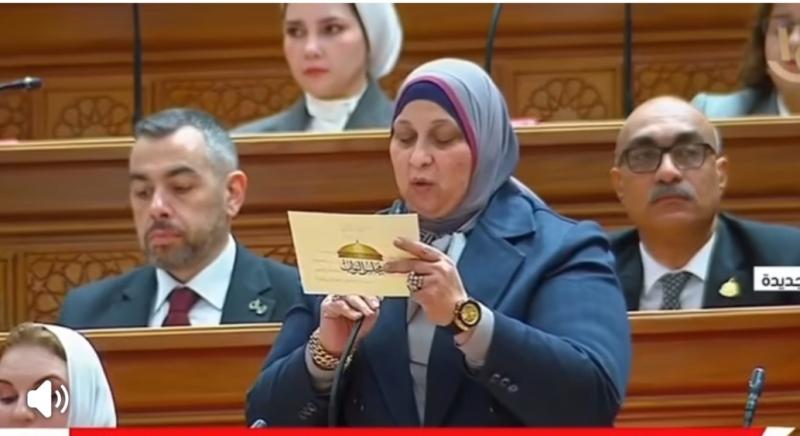 النائبة غادة النحاس تؤدي اليمين الدستورية 